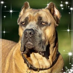 Meet your Posher, Jen